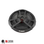 میدرنج خودرو 10 اینچ مدل SM1002