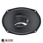 اسپیکر خودرو سایز 10 اینچ هرتز مدل DCX 710.3