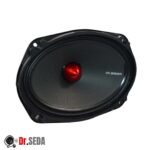 میدرنج خودرو 6.9 اینچ مدل SM6906