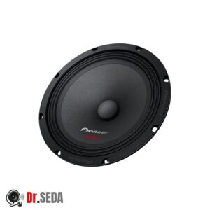 خرید و قیمت میدرنج پایونیر Pioneer TS-M1610PRO