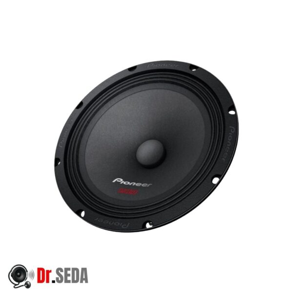 خرید و قیمت میدرنج پایونیر Pioneer TS-M1610PRO
