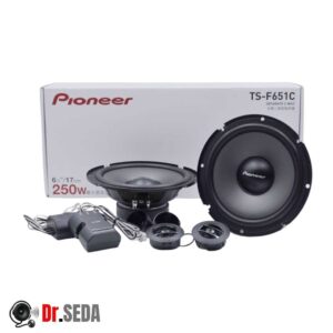 کامپوننت پایونیر TS-F651C