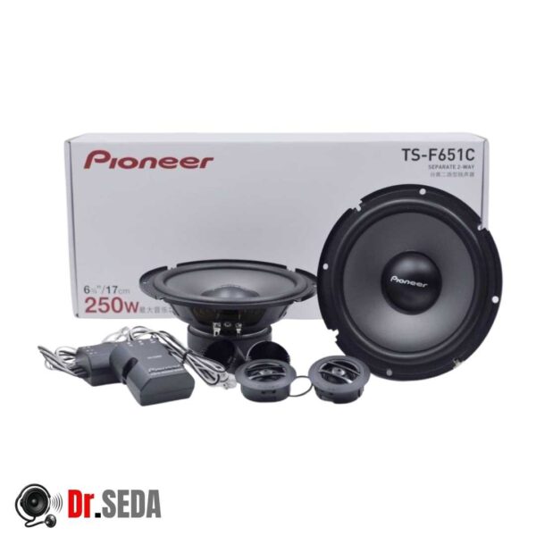 کامپوننت پایونیر TS-F651C