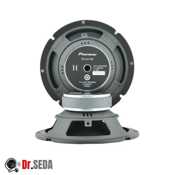 کامپوننت خودرو پایونیر مدل TS-H170C